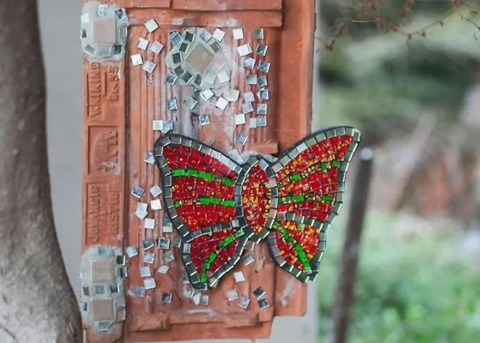 Alta * מאקרסקה