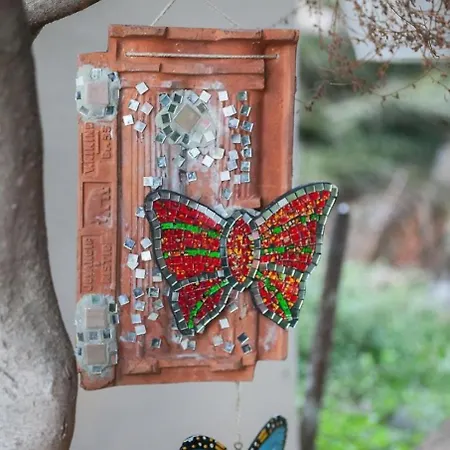 Alta * מאקרסקה